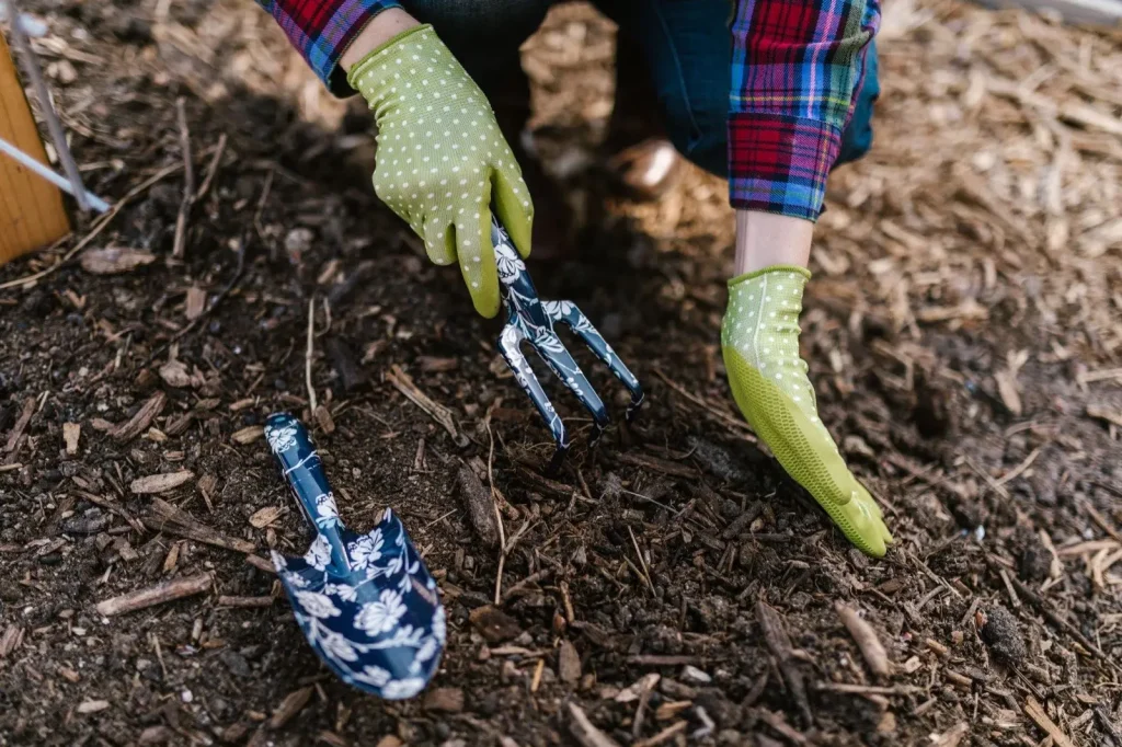 Gloved hands working a garden bed
