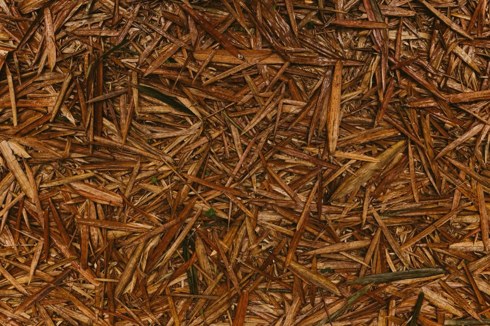 Fresh mulch